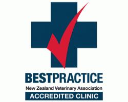 best-practice-logo